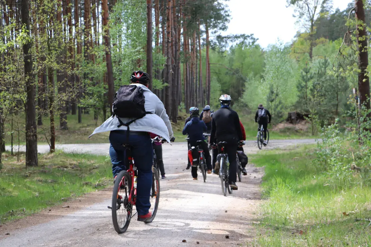 Grupa rowerzystów przemierza leśną ścieżkę. Każdy pedałujący spala kalorie, ciesząc się aktywnością na świeżym powietrzu.