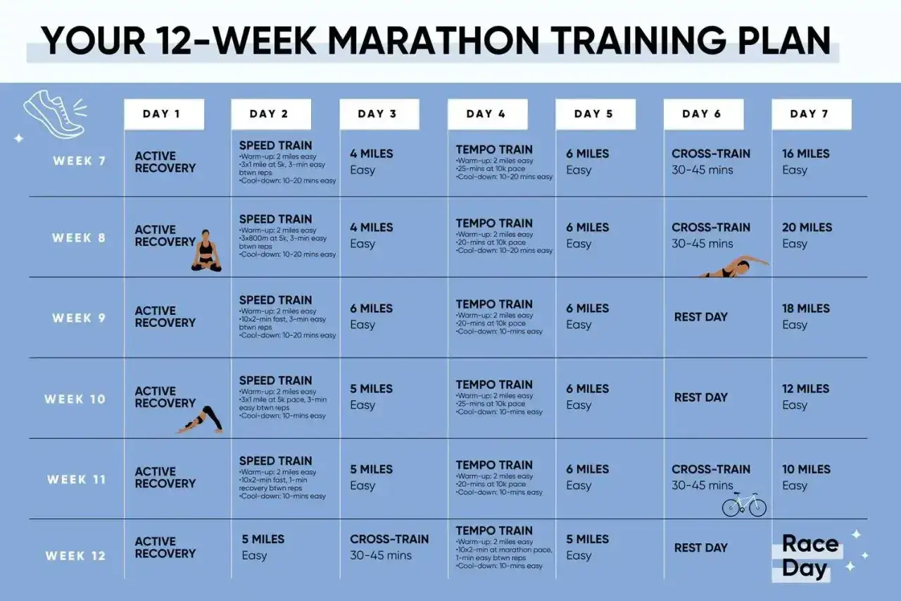 Plan 12-tygodniowego treningu do maratonu: zawiera dni regeneracji, treningi szybkościowe, tempowe, cross-training i długie biegi.