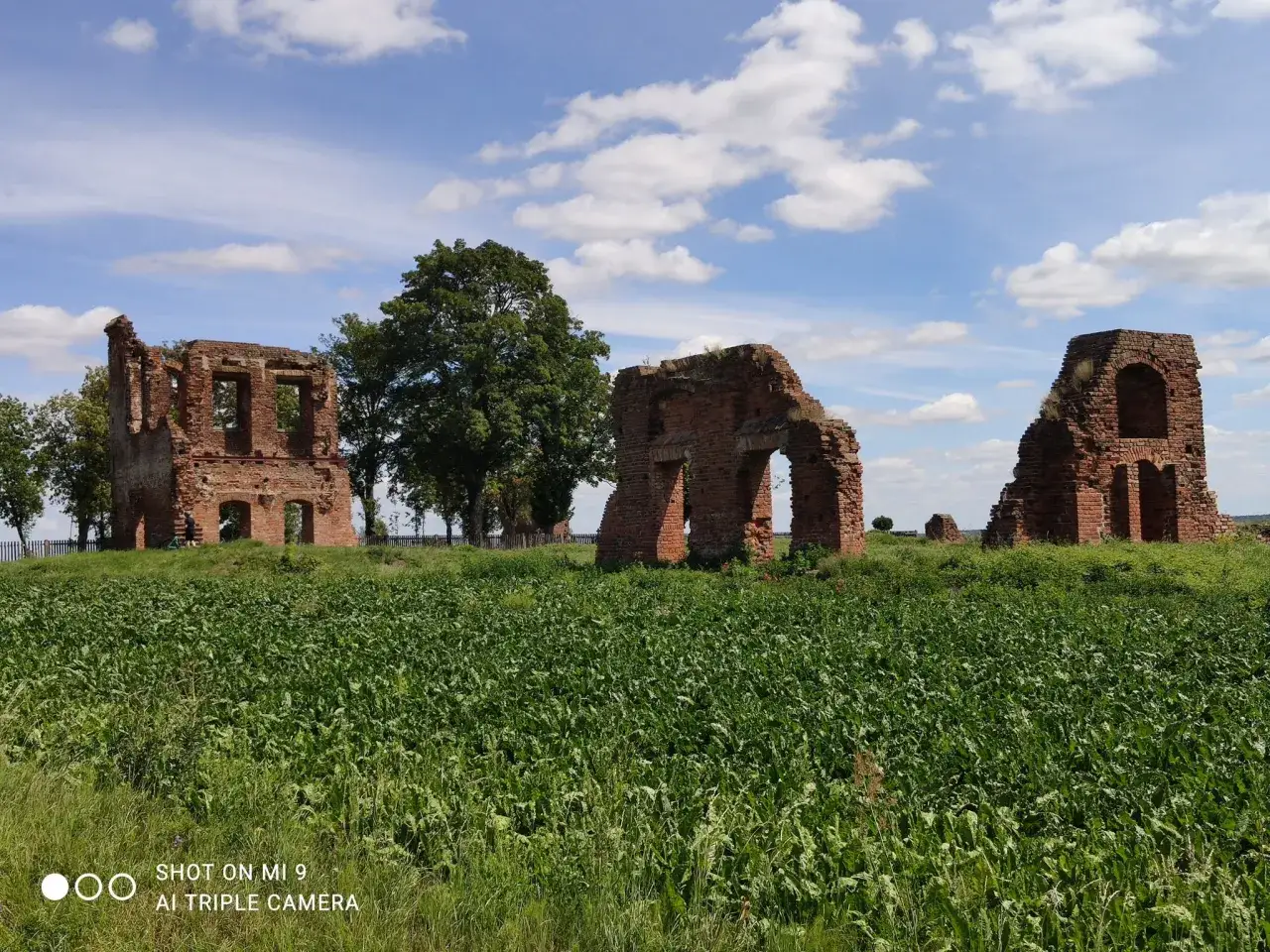 Ruiny ceglanego dworu na tle błękitnego nieba z chmurami. W oddali widać drzewa i pola. Dawne nowe miasto nad Wartą.