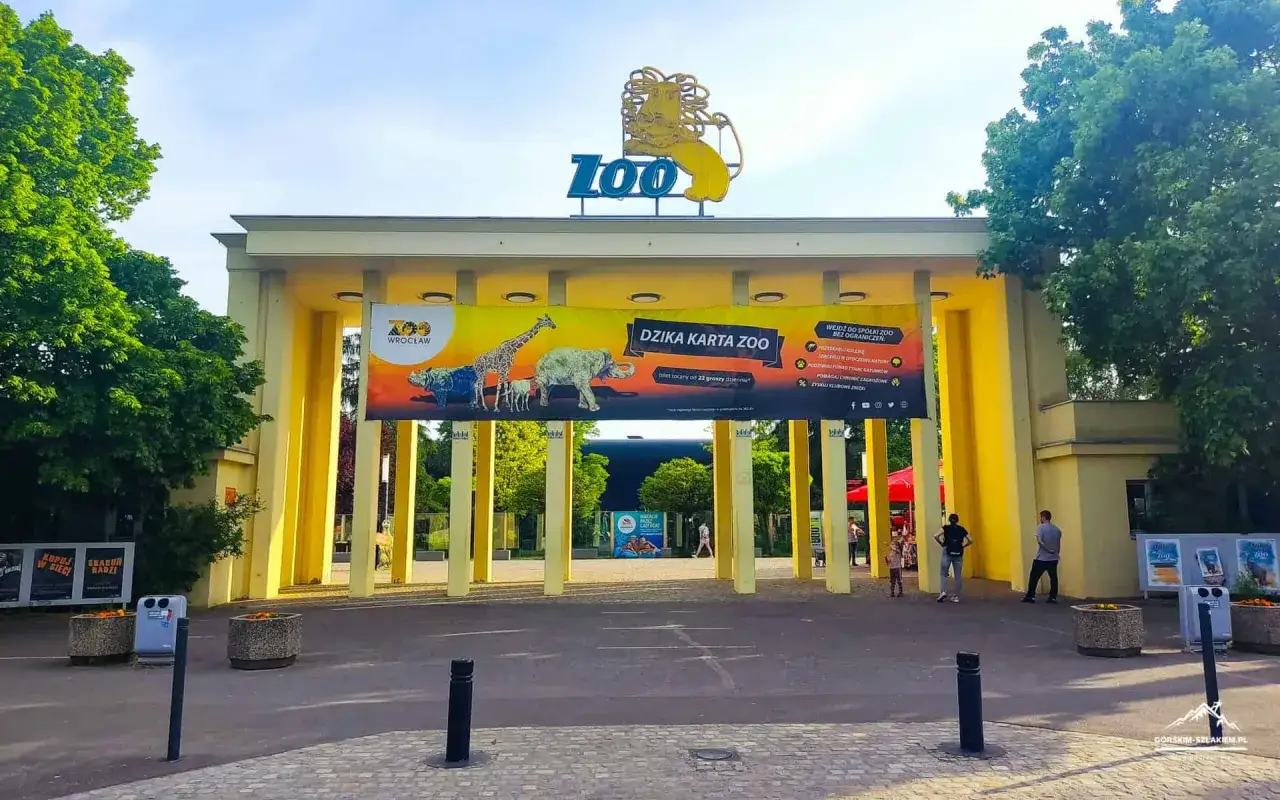 Zoo Wrocław: sprawdź zoo wrocław bilety cennik i wejdź do świata dzikiej przyrody bez ograniczeń.