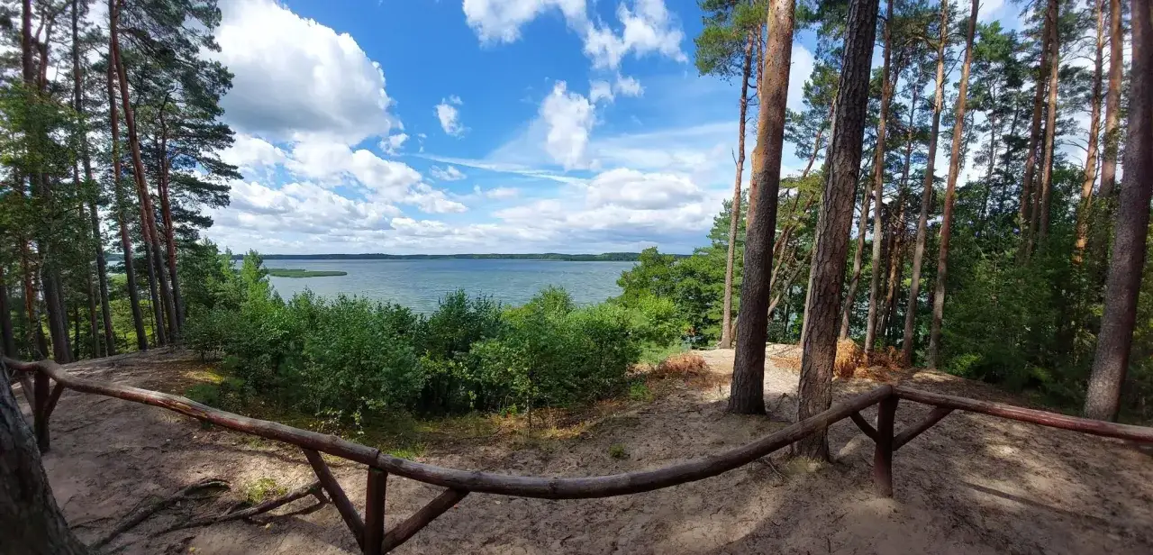 Widok na jezioro z piaszczystego wzgórza otoczonego sosnami. Drewniane ogrodzenie wyznacza ścieżkę, idealną na kaszubską marszrutę.