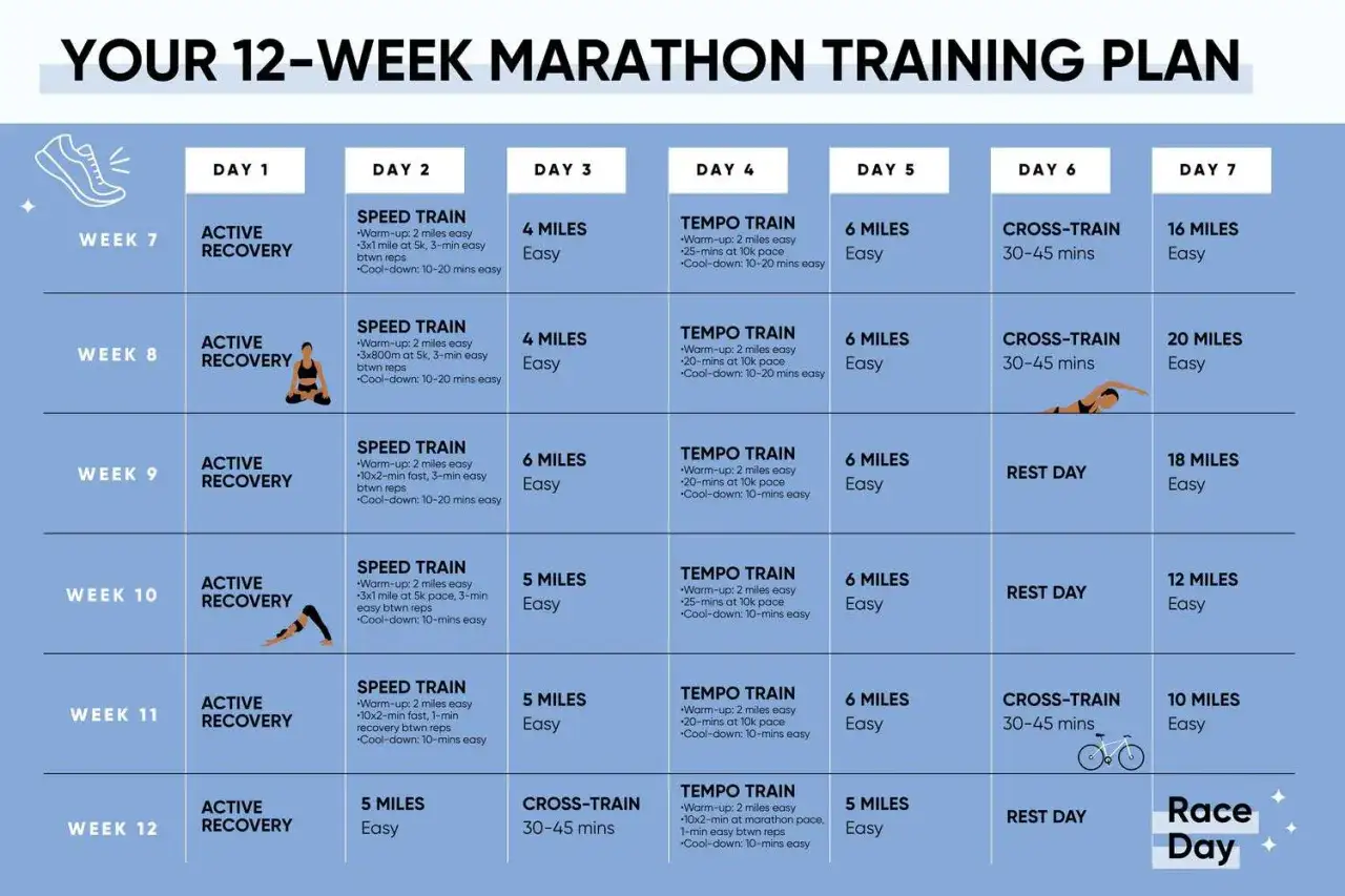 Plan treningowy na 12 tygodni do maratonu. Tabela pokazuje, ile razy w tygodniu biegać, jakie dystanse i rodzaje treningów.