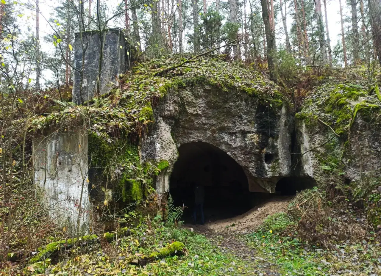 Ruiny bunkra w lesie, porośnięte mchem i liśćmi. Wejście do podziemi w Osowcu, gdzie historia splata się z naturą.