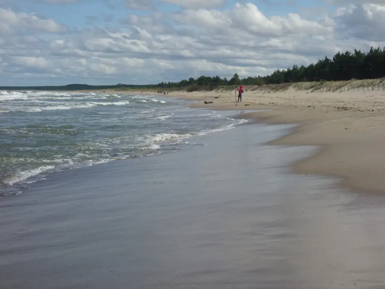 Plaża w Gdyni Kosakowo. Fale obmywają piaszczysty brzeg, a w oddali widać las i spacerujących ludzi.