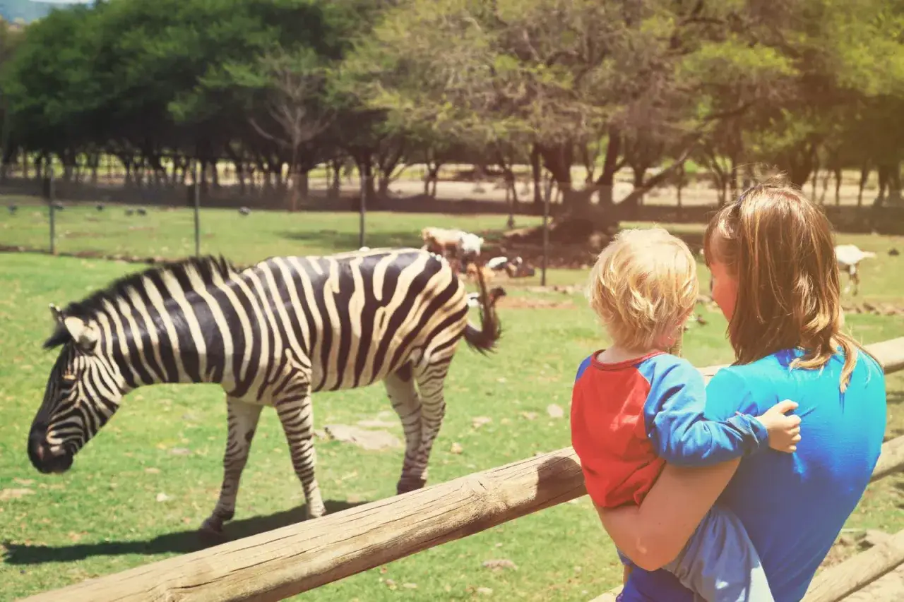 Mama z dzieckiem podziwiają zebrę w zoo. W tle inne zwierzęta i drzewa.