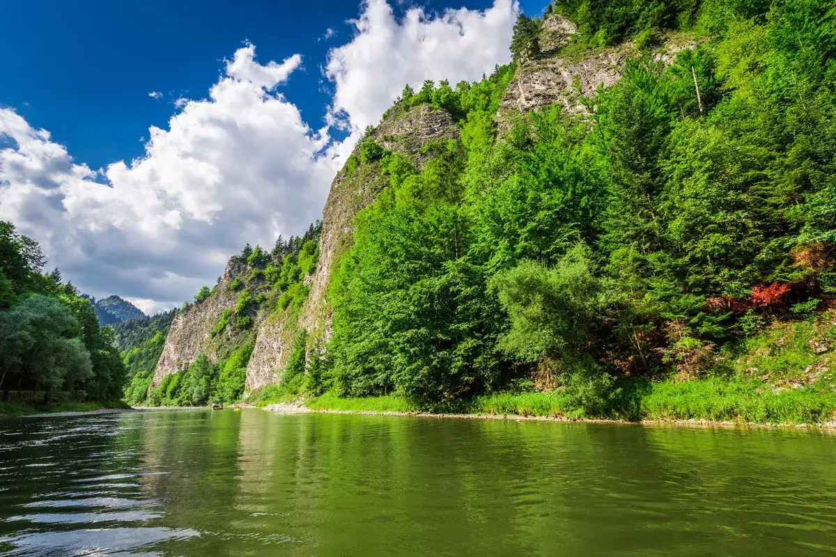 Zielony Dunajec w Pieninach, idealne miejsce na spływ. Sprawdź, ile kosztuje spływ Dunajcem i odkryj piękno natury.