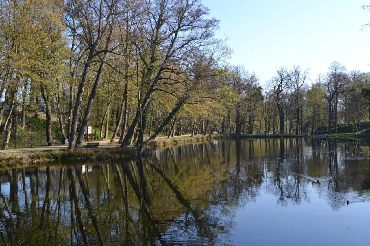 Spokojny staw w Wojanowie, odbijający drzewa i błękitne niebo. Na brzegu ścieżka i ławki.