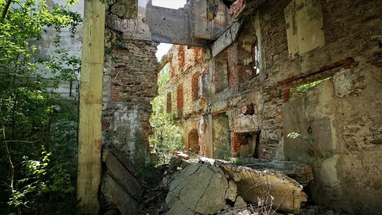 Ruiny budynku, zarośnięte zielenią, to idealne miejsce do eksploracji dla miłośników urbex.